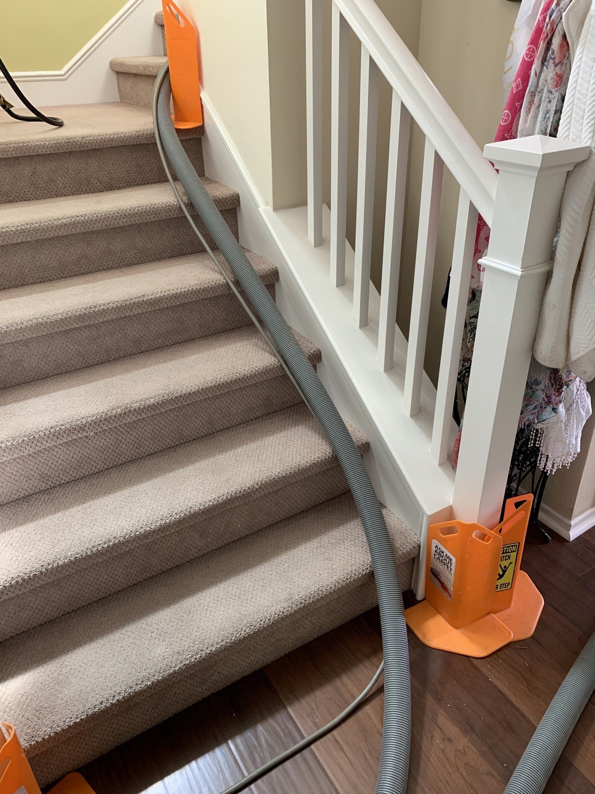 Petrichor® We Clean the Floor. Carpet Cleaning Beaumont, CA