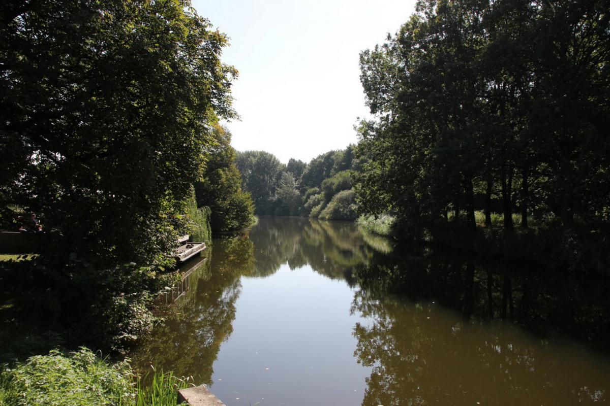 Een rivier omgeven door bomen op een zonnige dag