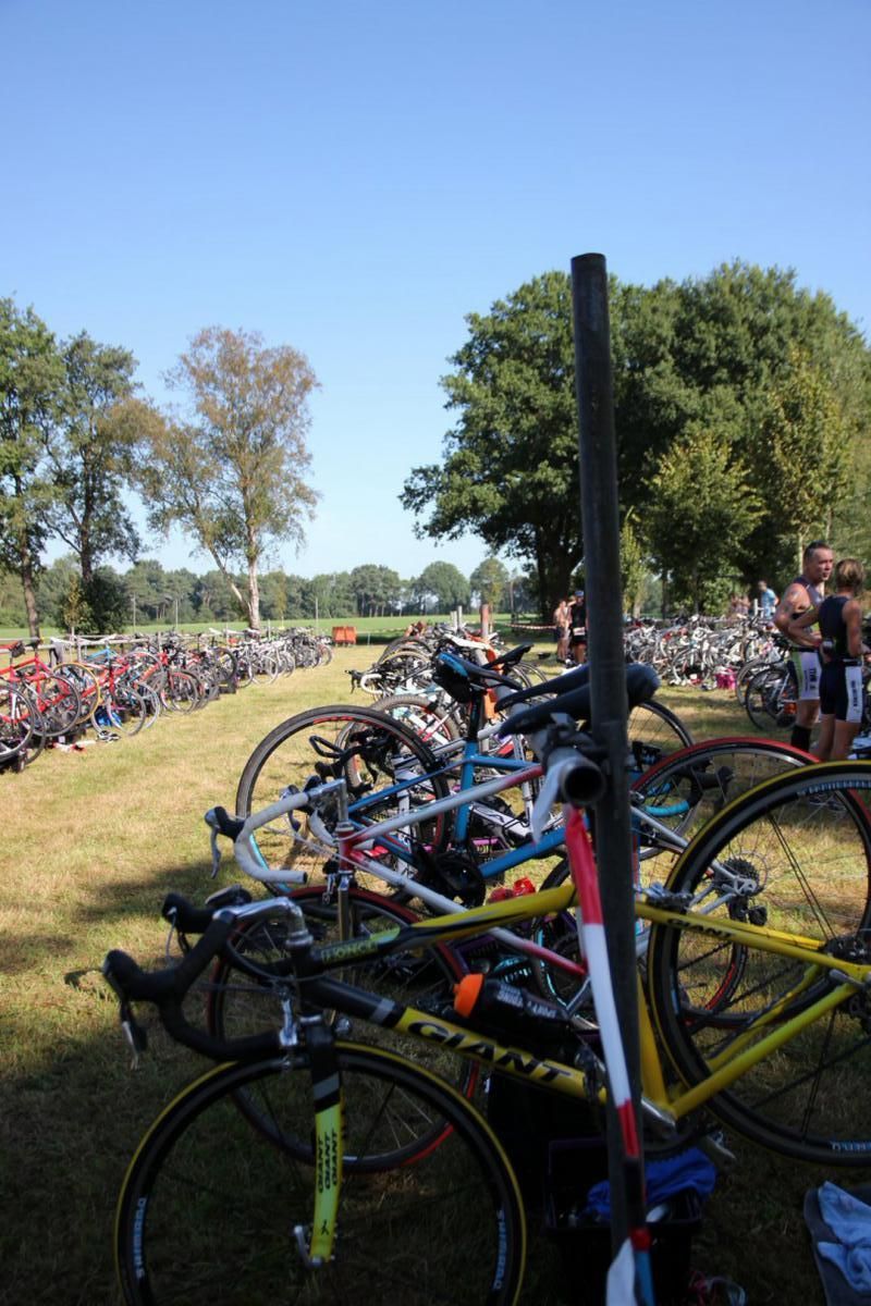 Een aantal fietsen staan ​​geparkeerd op een grasveld