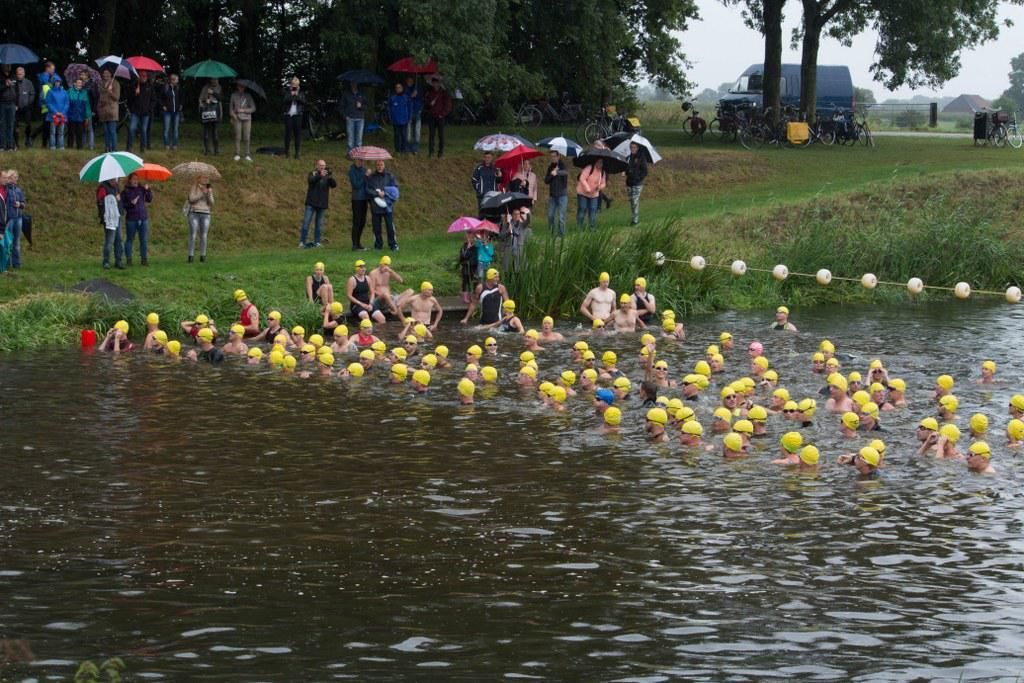 Een groep mensen zwemt in een watermassa.