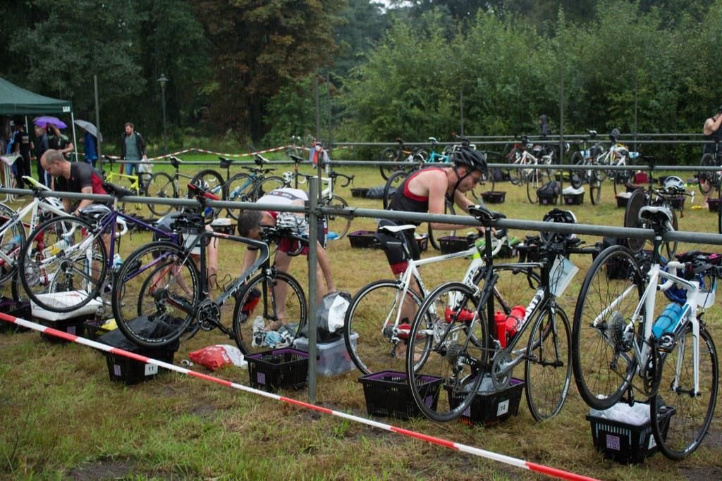 Een rij fietsen staat geparkeerd in een grasveld