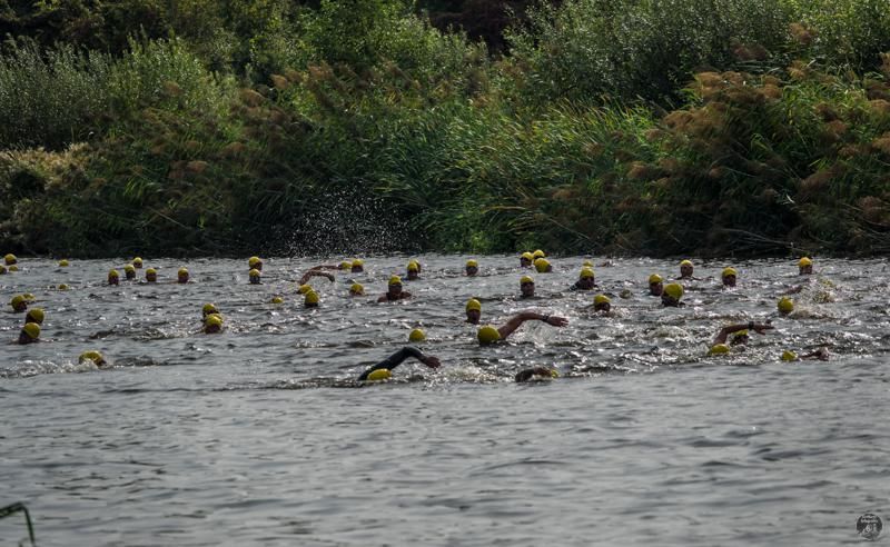 Een groep mensen zwemt in een meer.