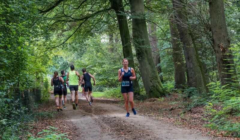 Een groep mensen rent over een zandpad in het bos.