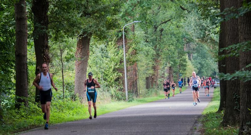 Een groep mensen rent over een pad in het bos.