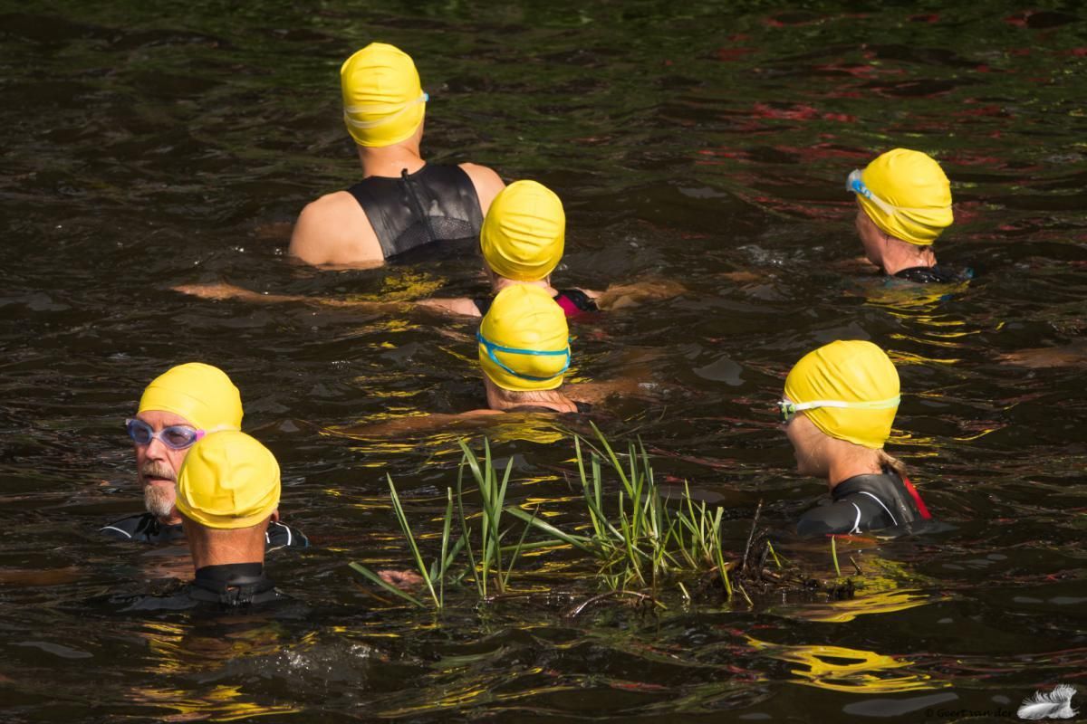 Een groep mensen met gele badmutsen zwemt in een watermassa.