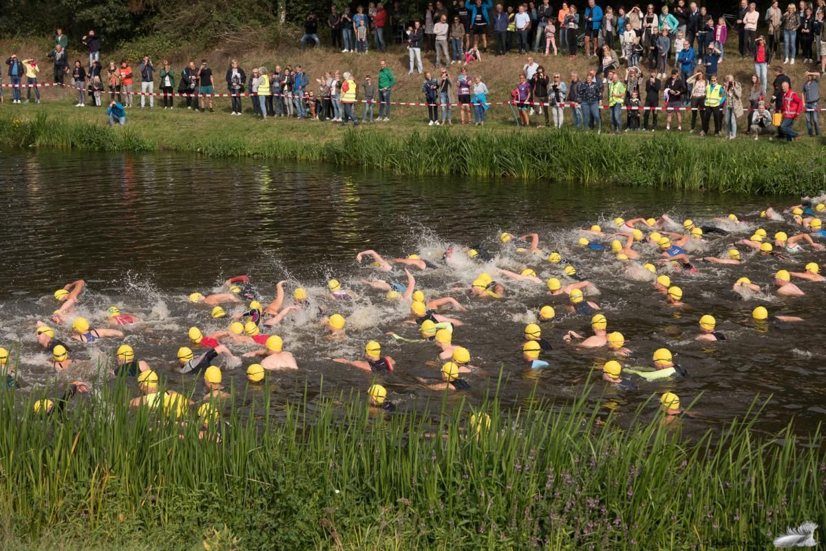 Een groep mensen zwemt in een meer.
