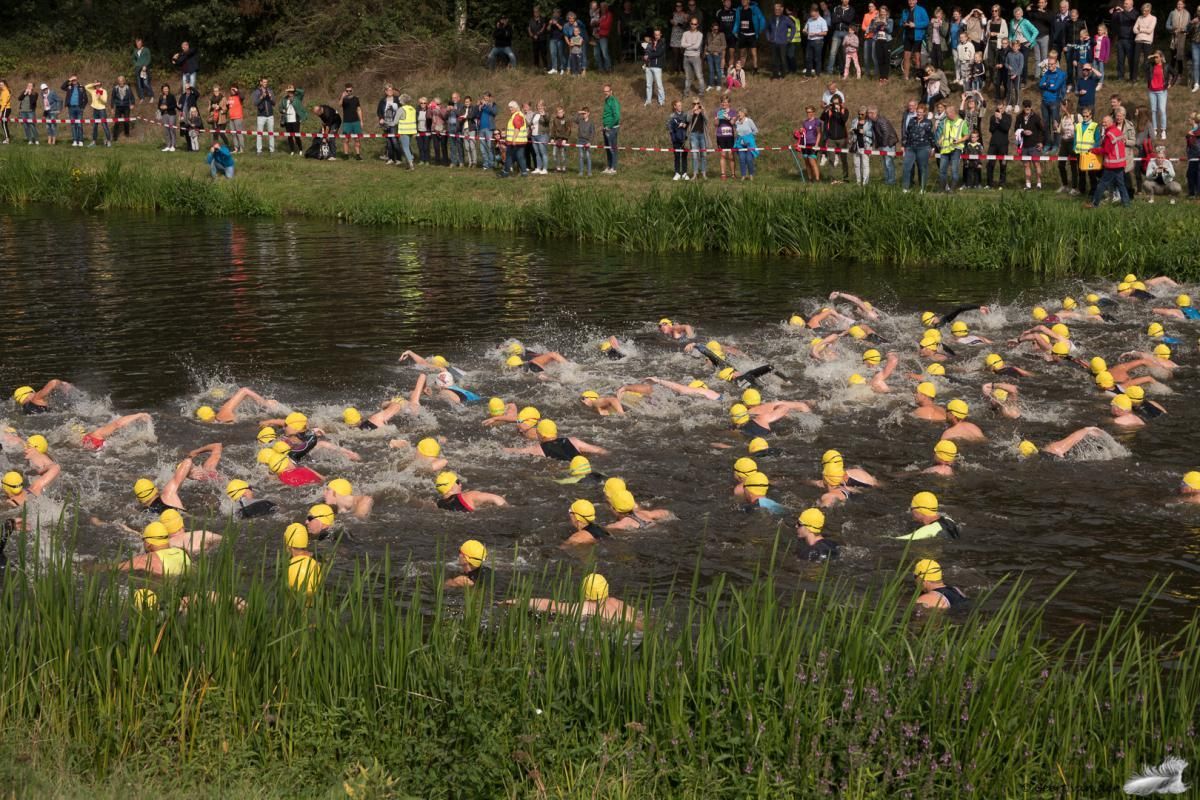 Een groep mensen zwemt in een meer.