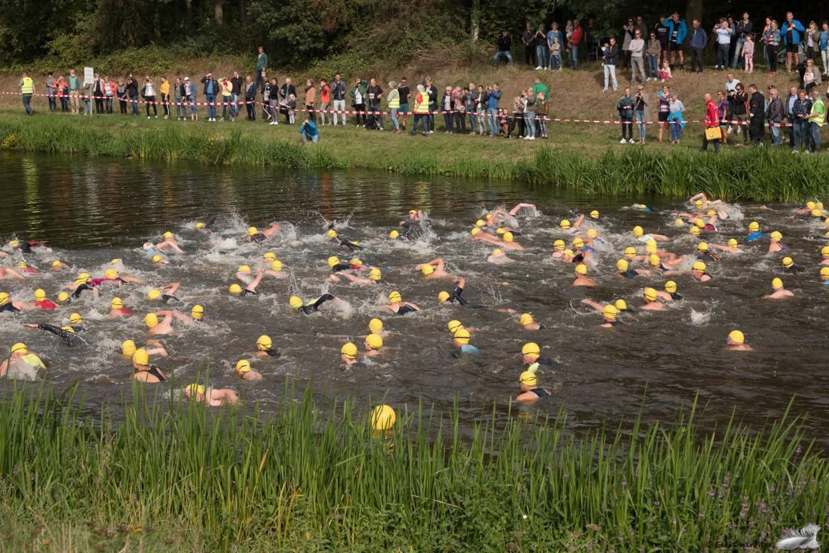 Een groep mensen zwemt in een meer.