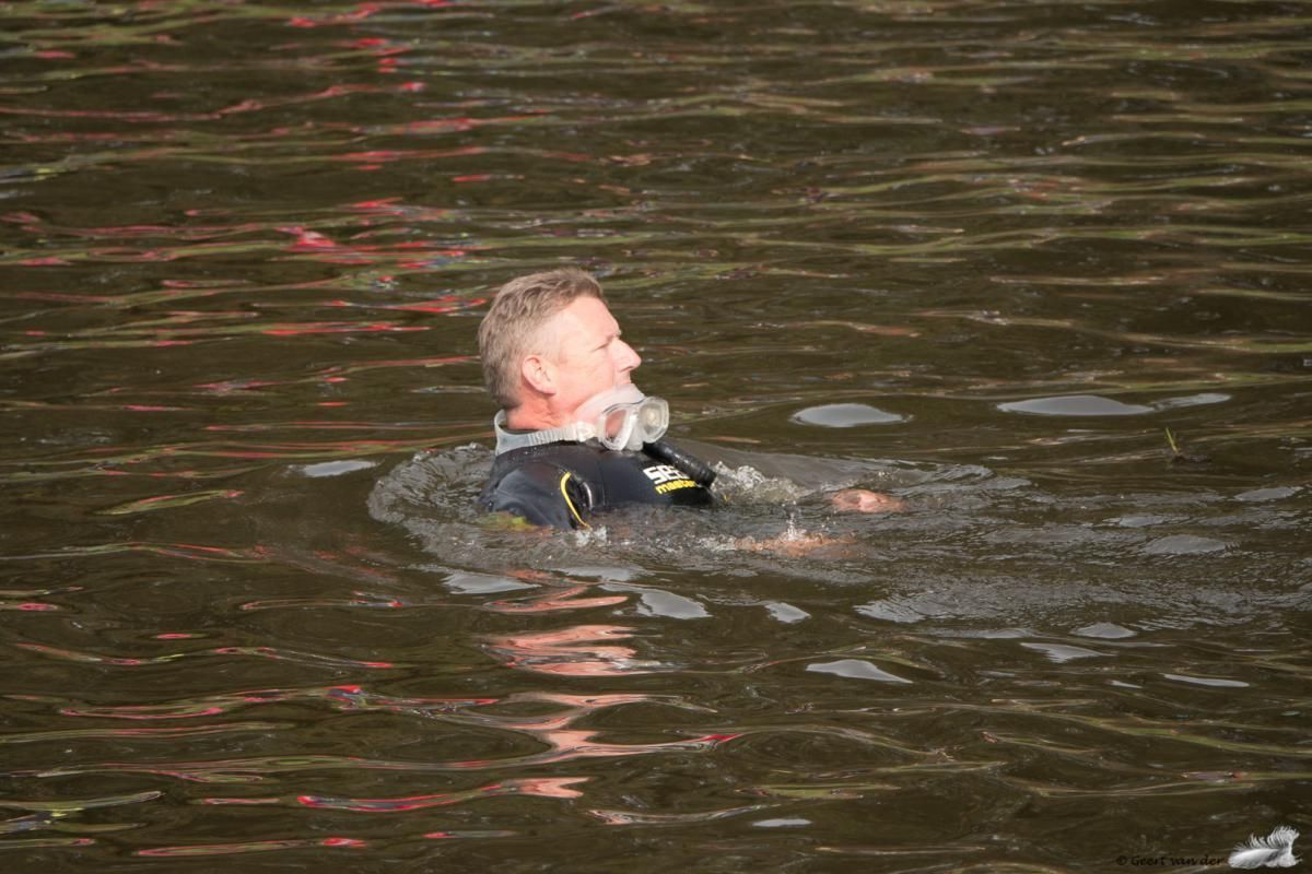 Een man zwemt in een watermassa.