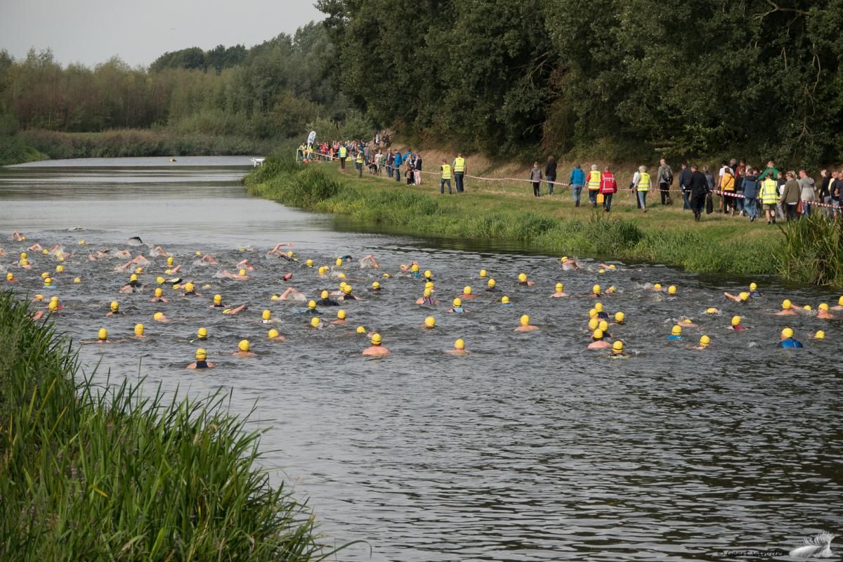 Een groep mensen zwemt in een rivier.