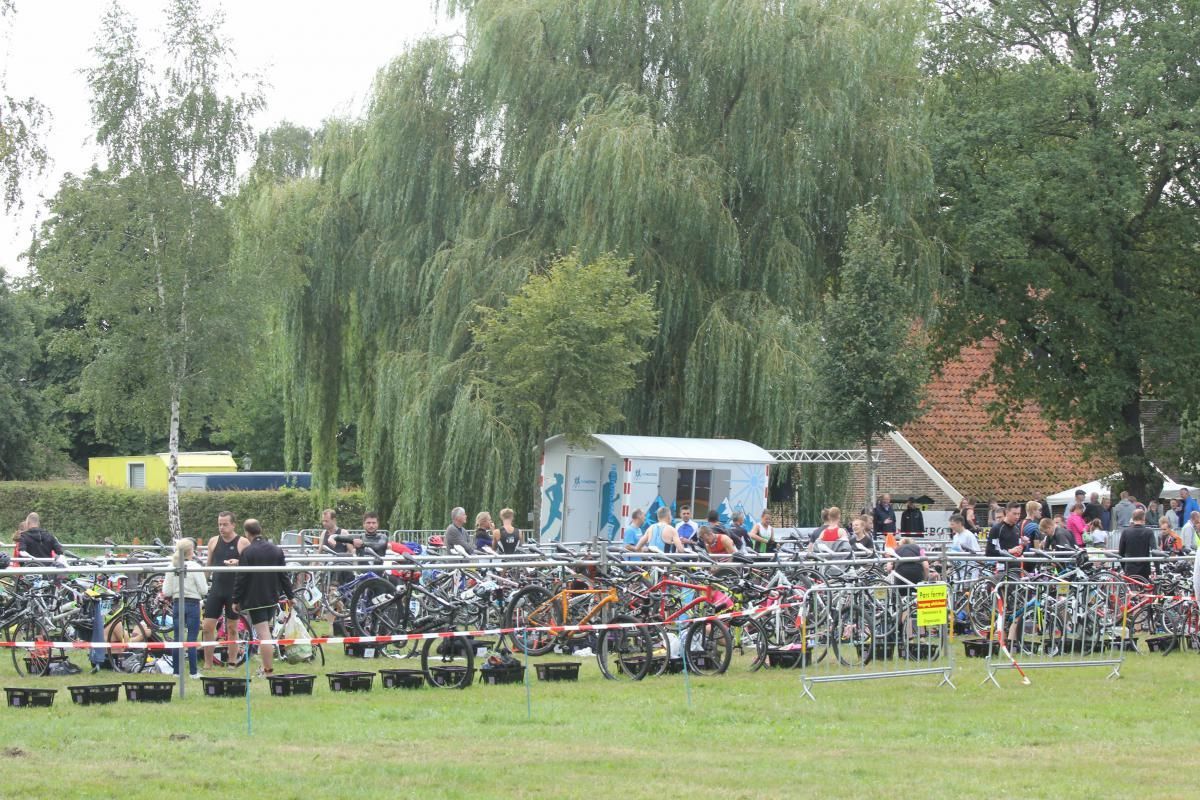 Een rij fietsen staat geparkeerd in een grasveld