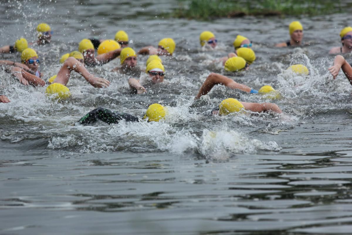 Een groep mensen zwemt in het water.