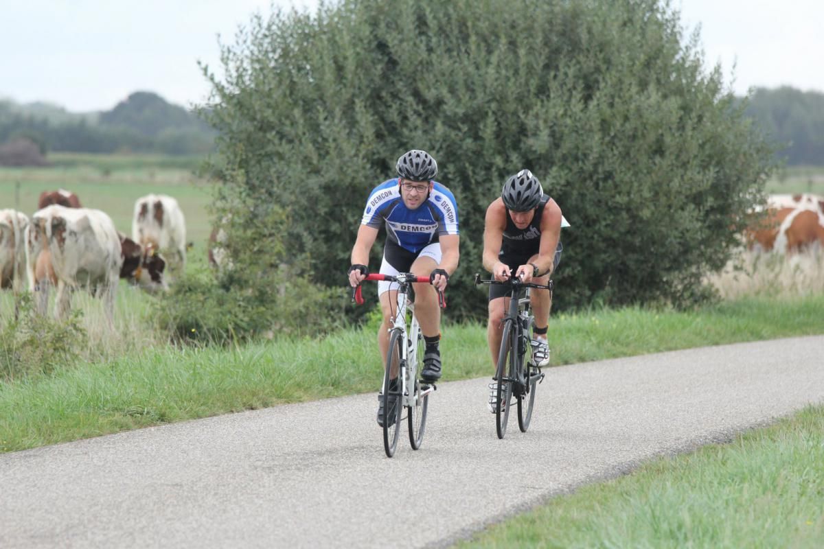 Twee mensen fietsen over een weg met koeien op de achtergrond.