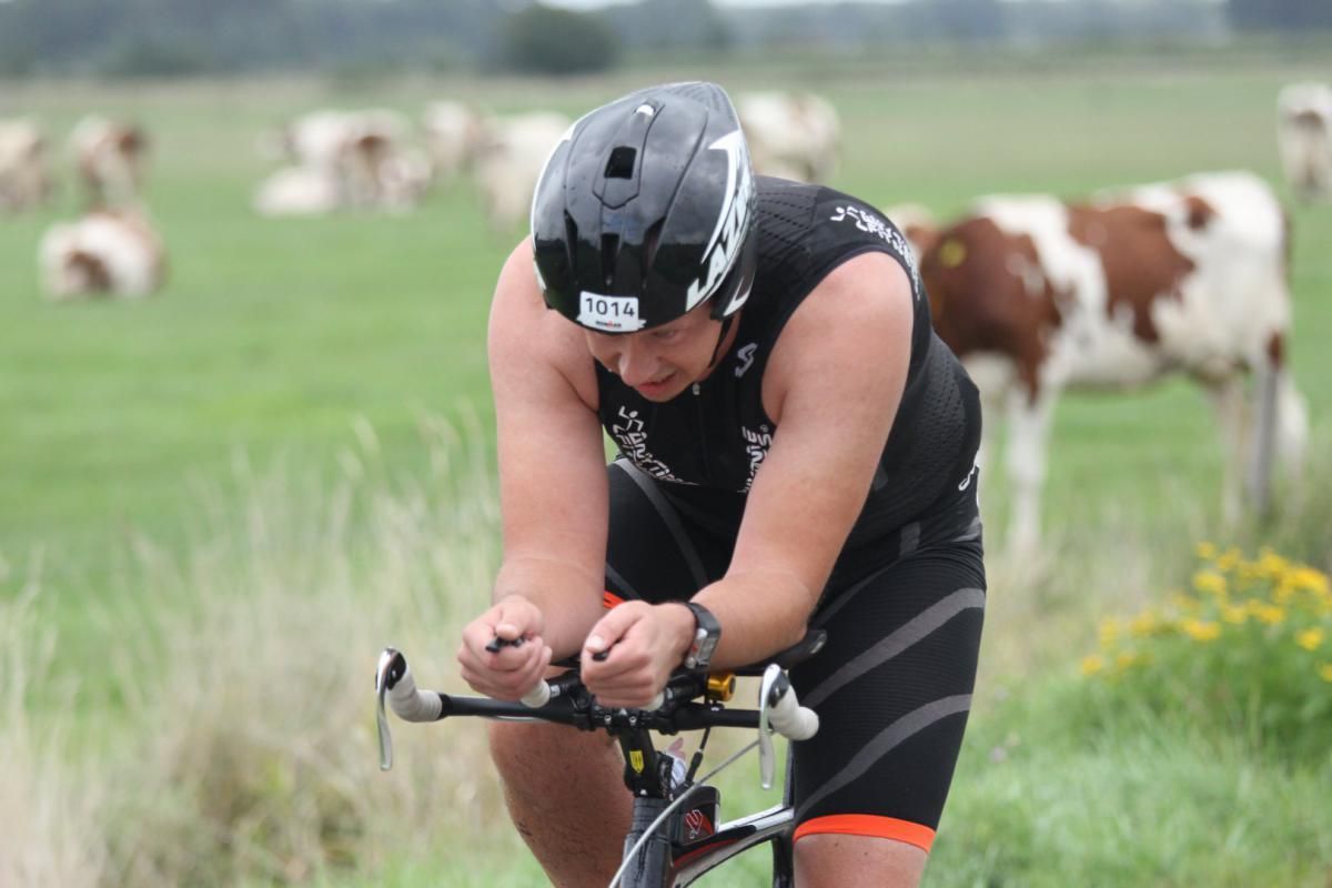 Een man fietst in een veld met koeien op de achtergrond.