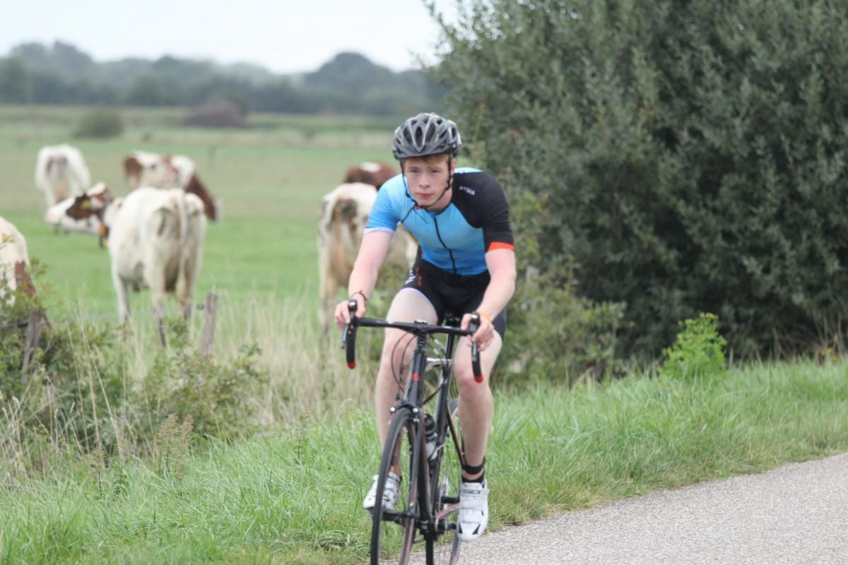 Een man fietst over een weg met koeien op de achtergrond.