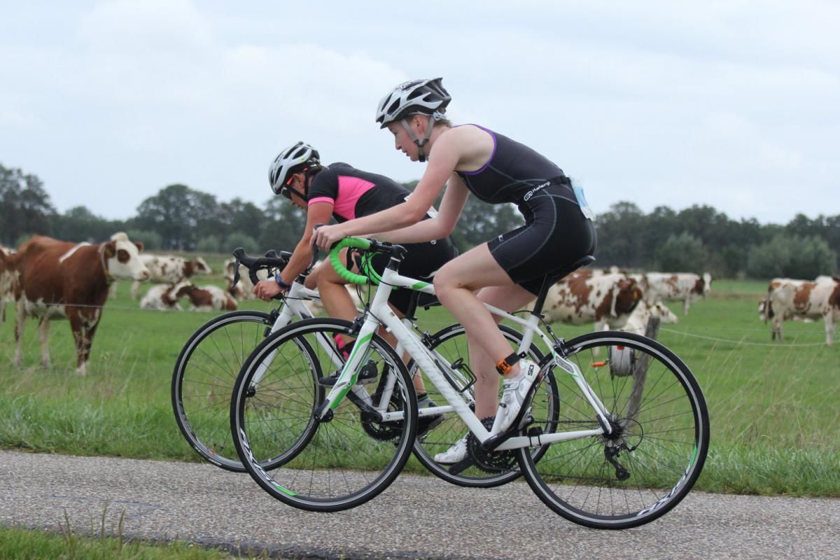 Twee mensen fietsen op een weg met koeien op de achtergrond