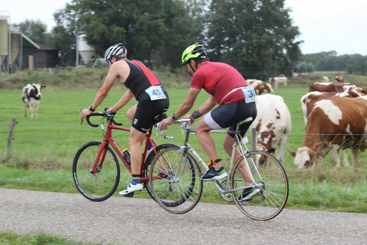 Twee mannen fietsen op een weg met koeien op de achtergrond
