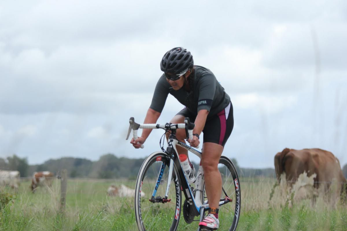 Een persoon fietst in een veld met koeien op de achtergrond