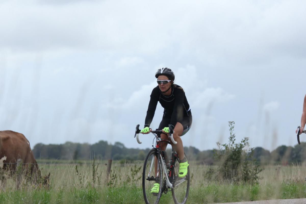 Een man fietst over een weg naast een koe.