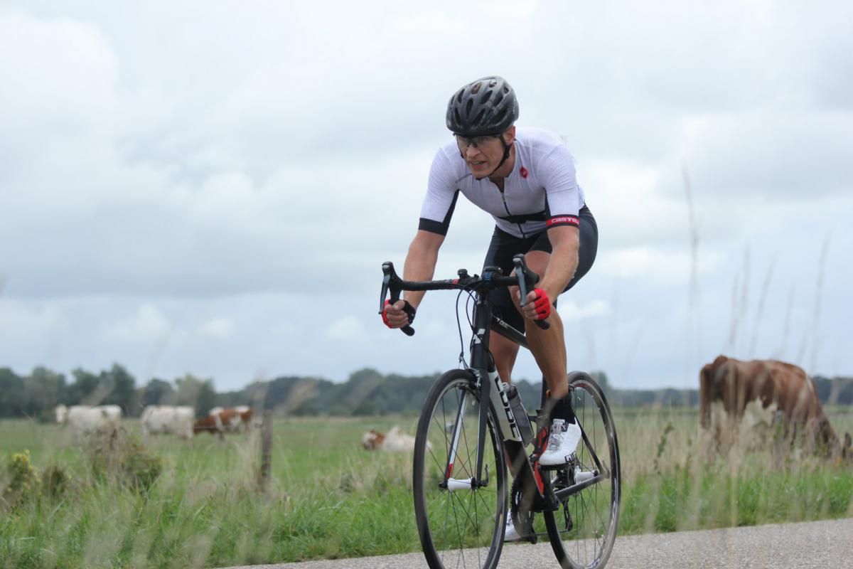 Een man fietst over een weg naast een weiland met koeien.