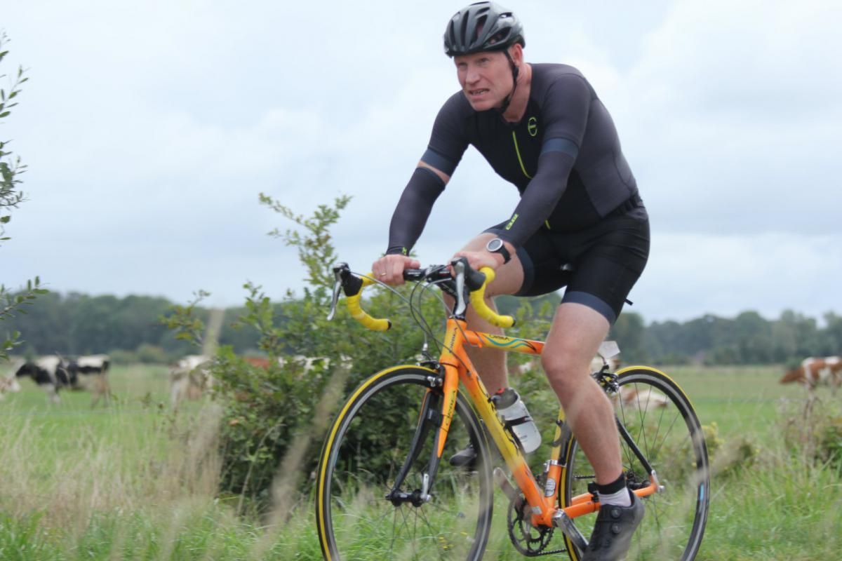 Een man fietst in een veld met koeien op de achtergrond.