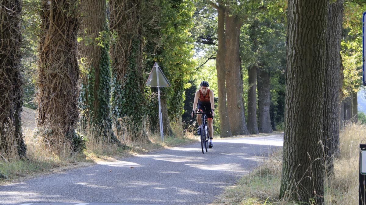 Een man fietst over een pad met bomen.