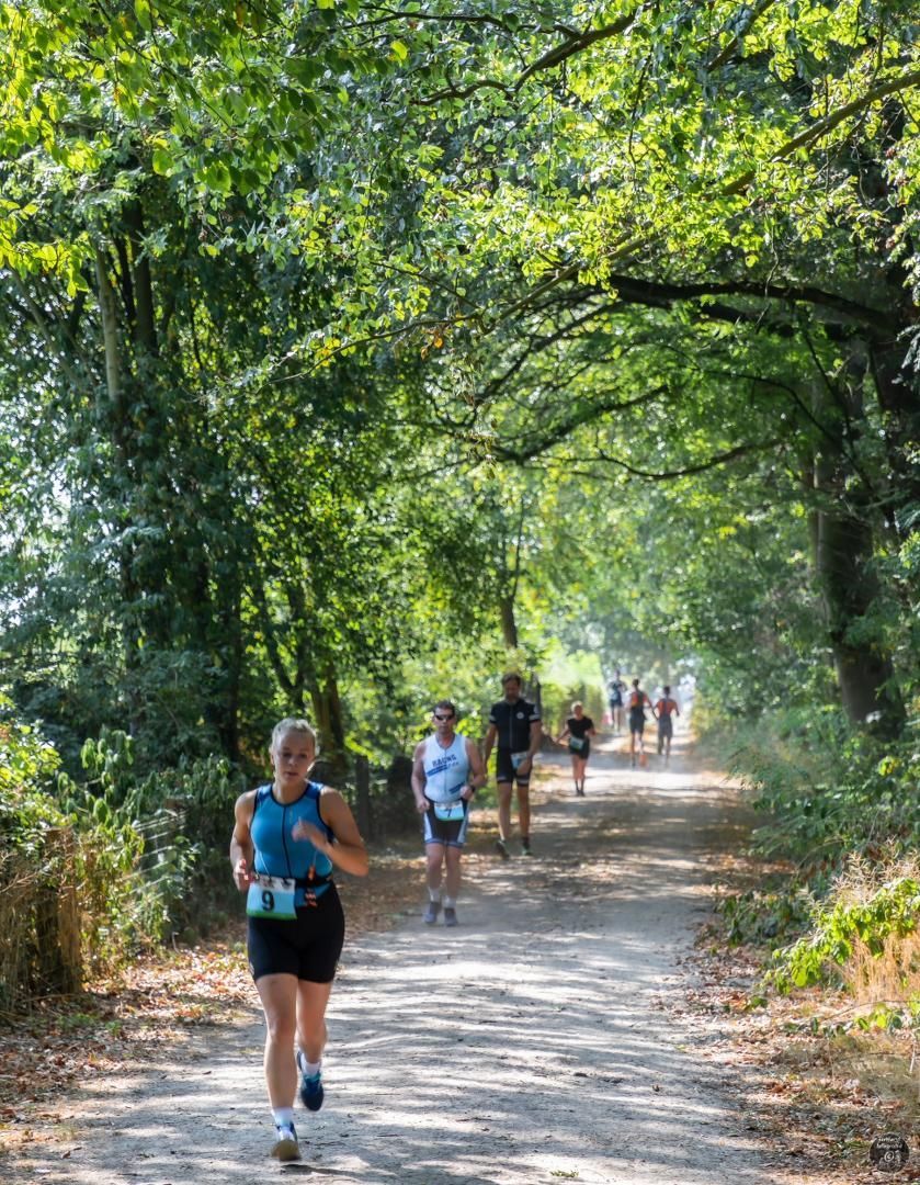 Een groep mensen rent over een pad in het bos.