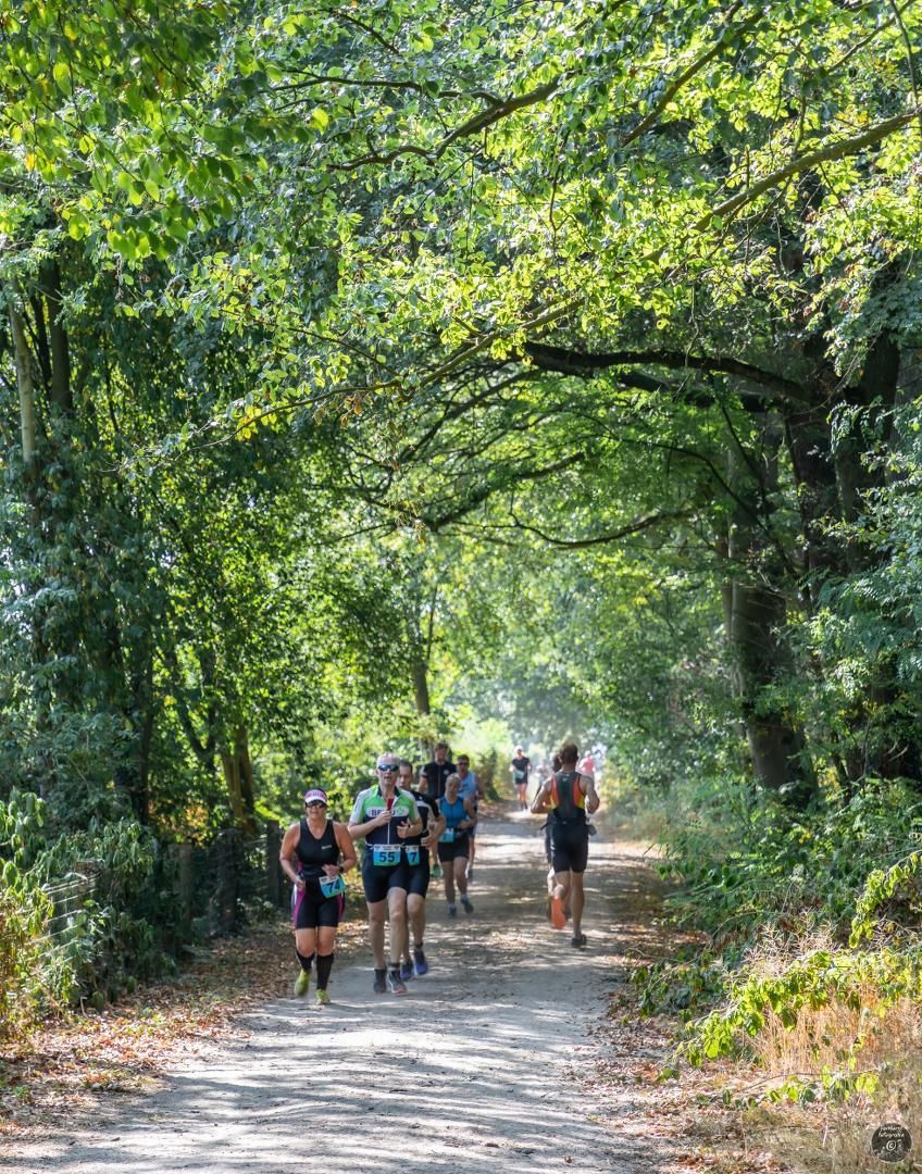 Een groep mensen rent over een pad in het bos.