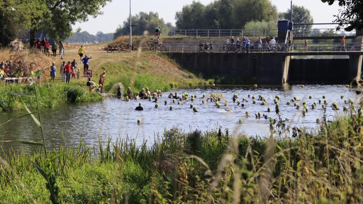 Een groep eenden zwemt in een rivier vlak bij een brug.