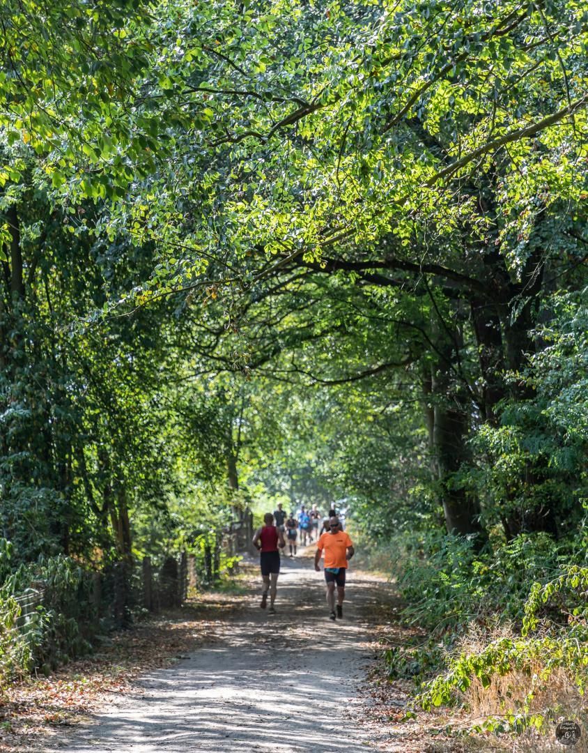 Een groep mensen loopt over een pad in het bos.