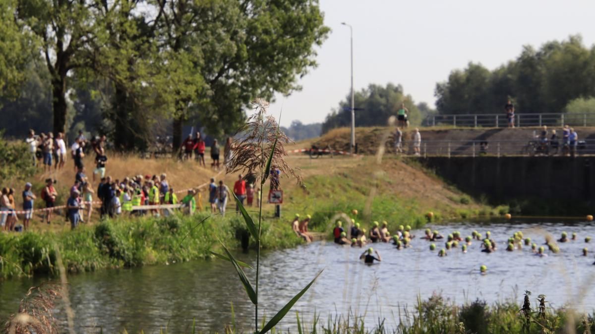 Een groep mensen zwemt in een meer.
