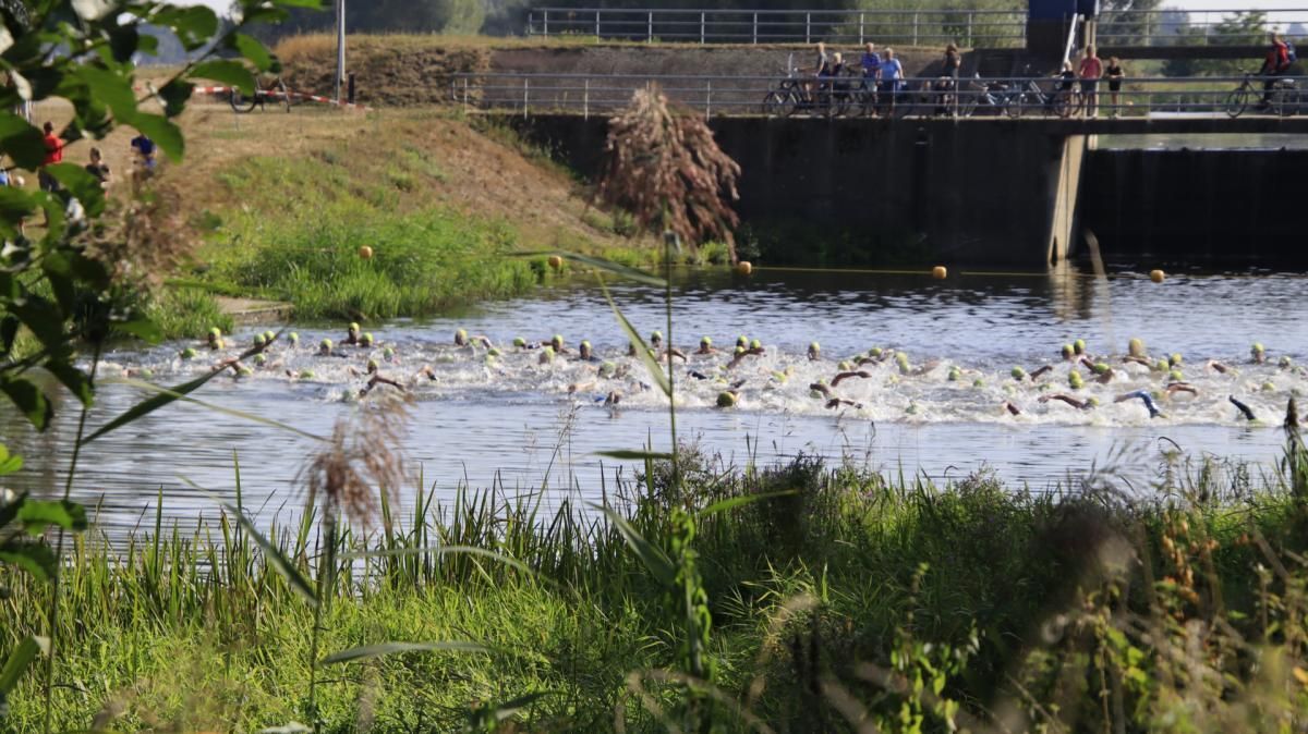 Een groep eenden zwemt in een rivier.