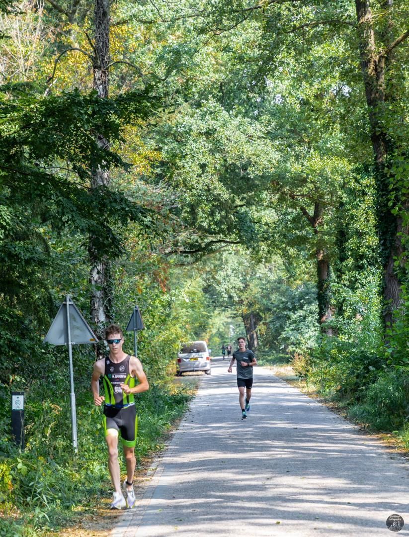 Een groep mensen rent over een weg in het bos.