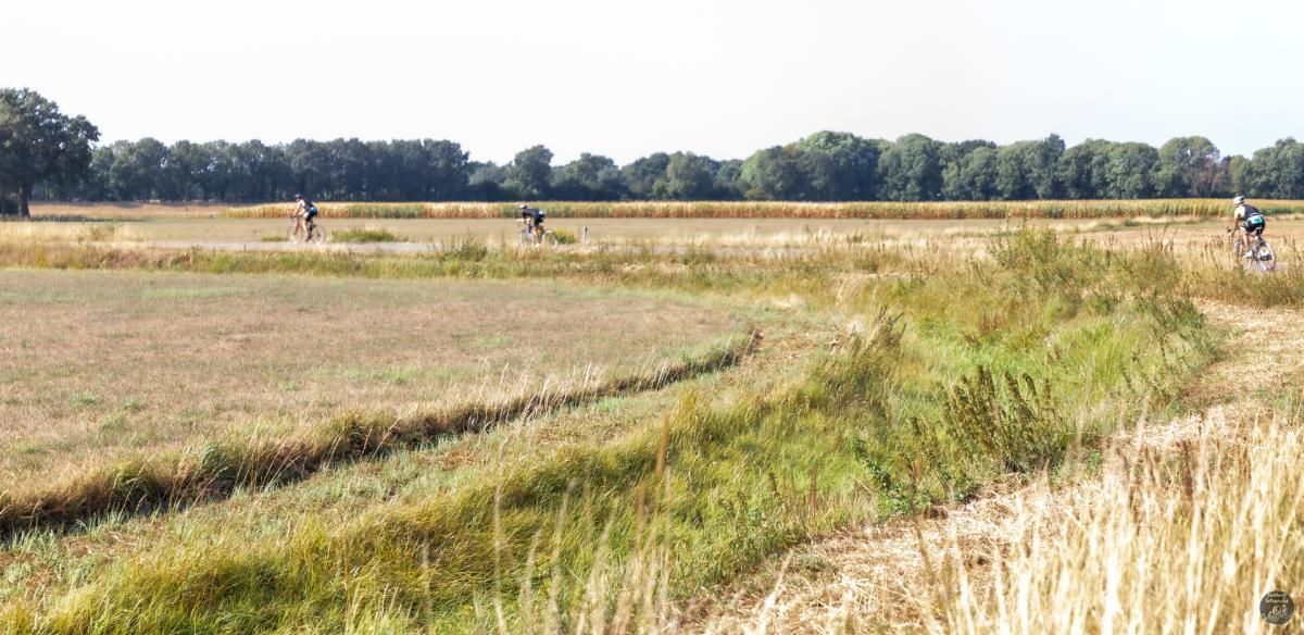 Iemand fietst in een veld met bomen op de achtergrond.