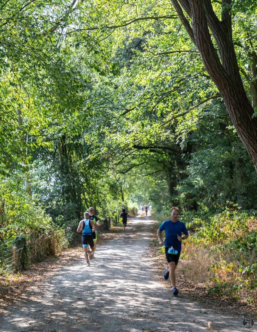 Een groep mensen rent over een pad in het bos.