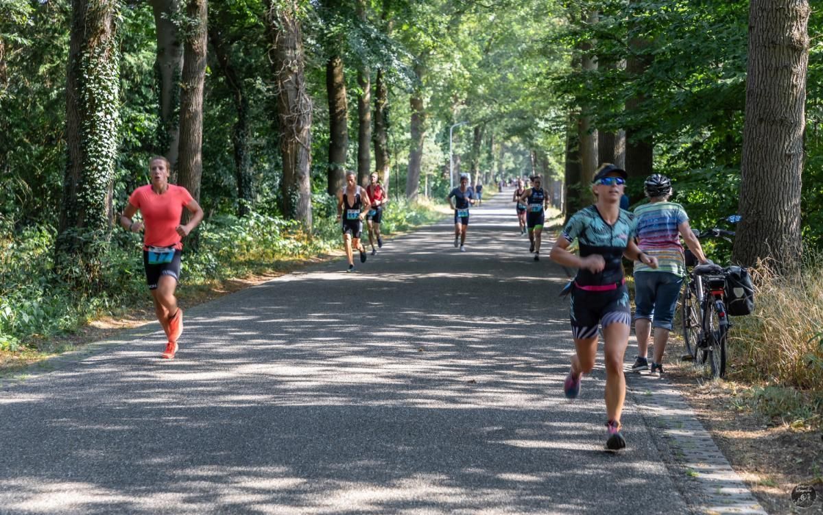 Een groep mensen rent over een weg in het bos.