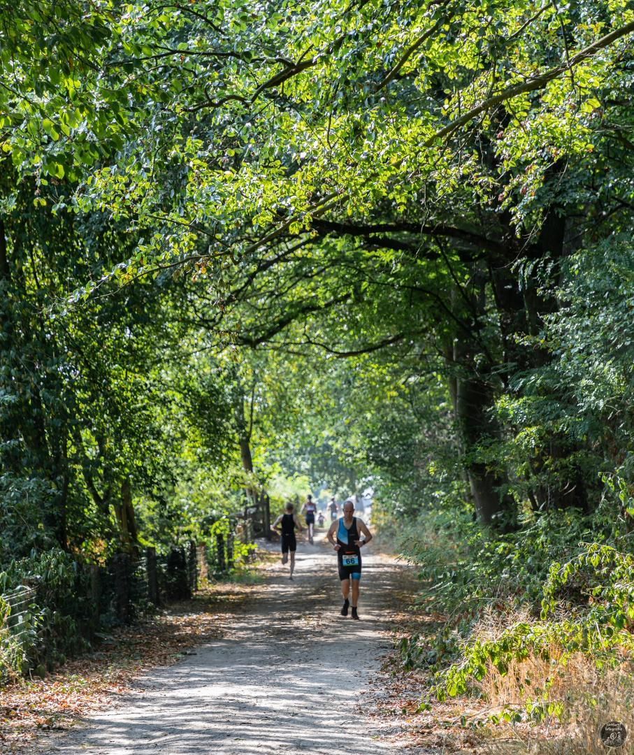 Een groep mensen loopt over een pad in het bos.