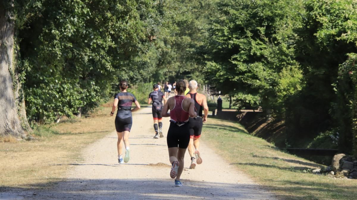 Een groep mensen rent over een pad in het bos.