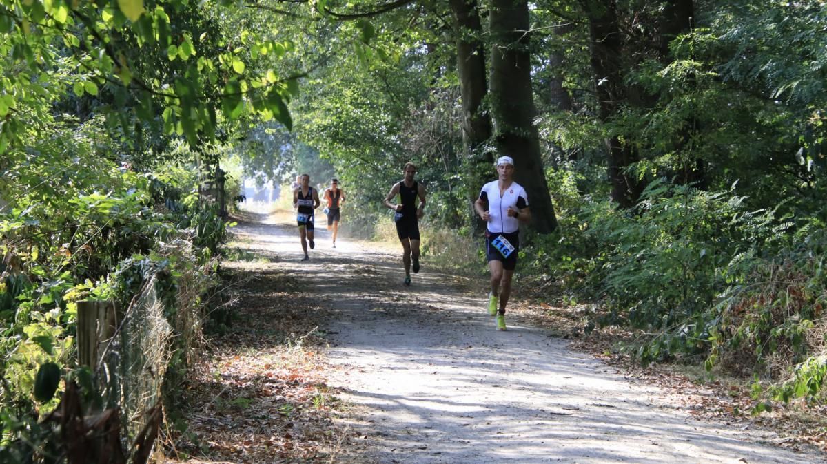 Een groep mensen rent over een pad in het bos.