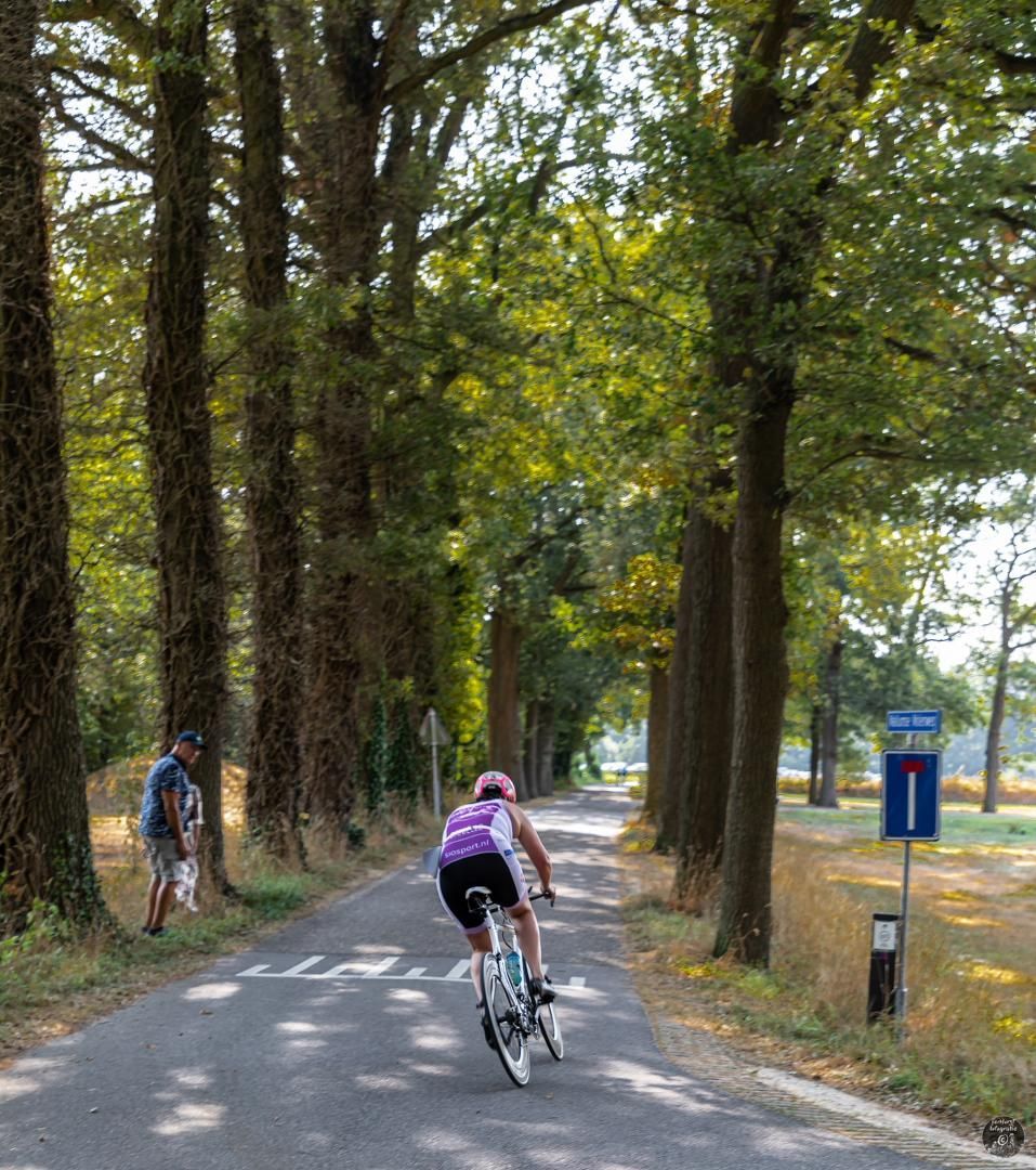 Iemand fietst over een weg die omgeven is door bomen.