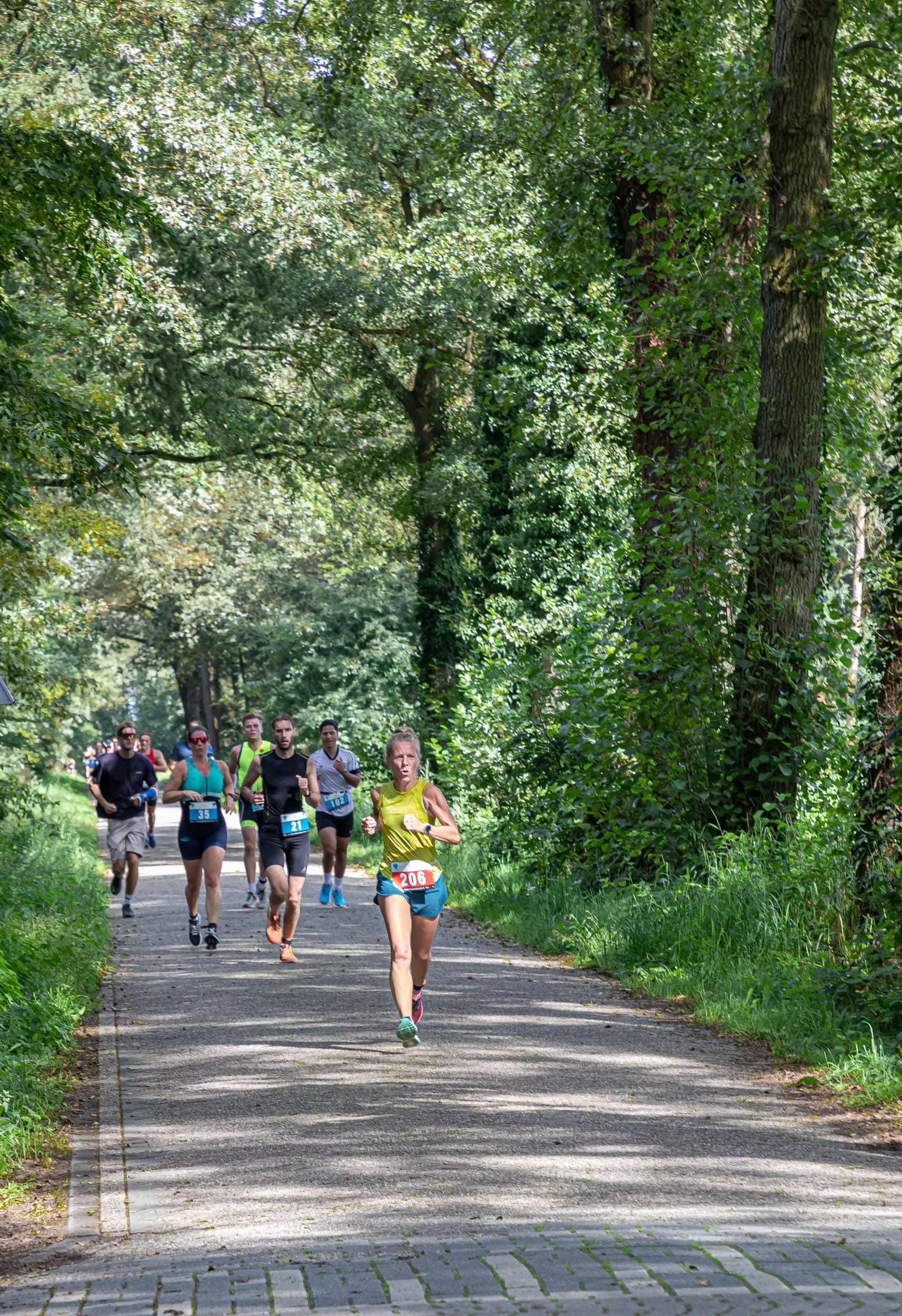 Een groep mensen rent over een pad in het bos.