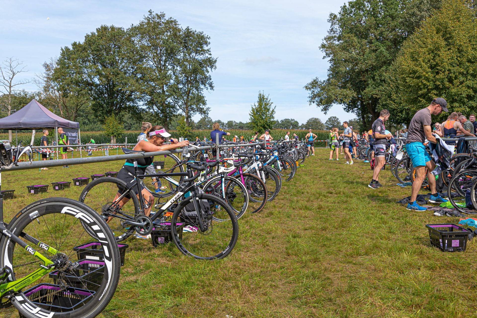 Een rij fietsen staat geparkeerd in een grasveld.