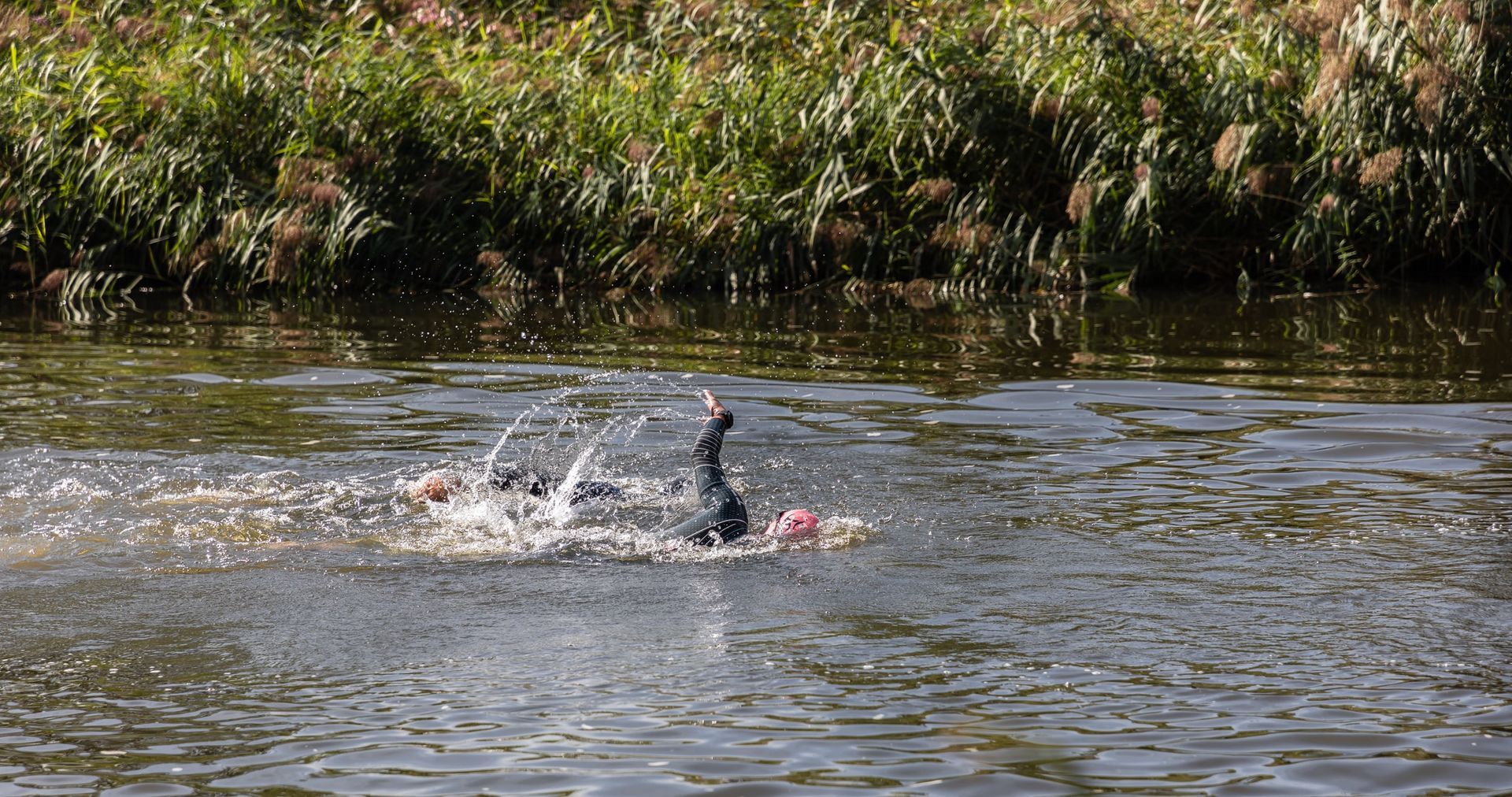 Iemand zwemt in een rivier met bomen op de achtergrond.