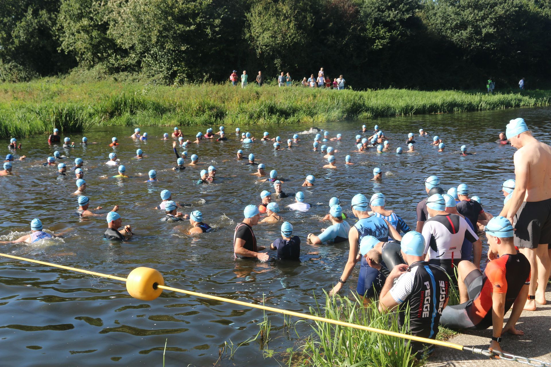 Zwemmers in het water