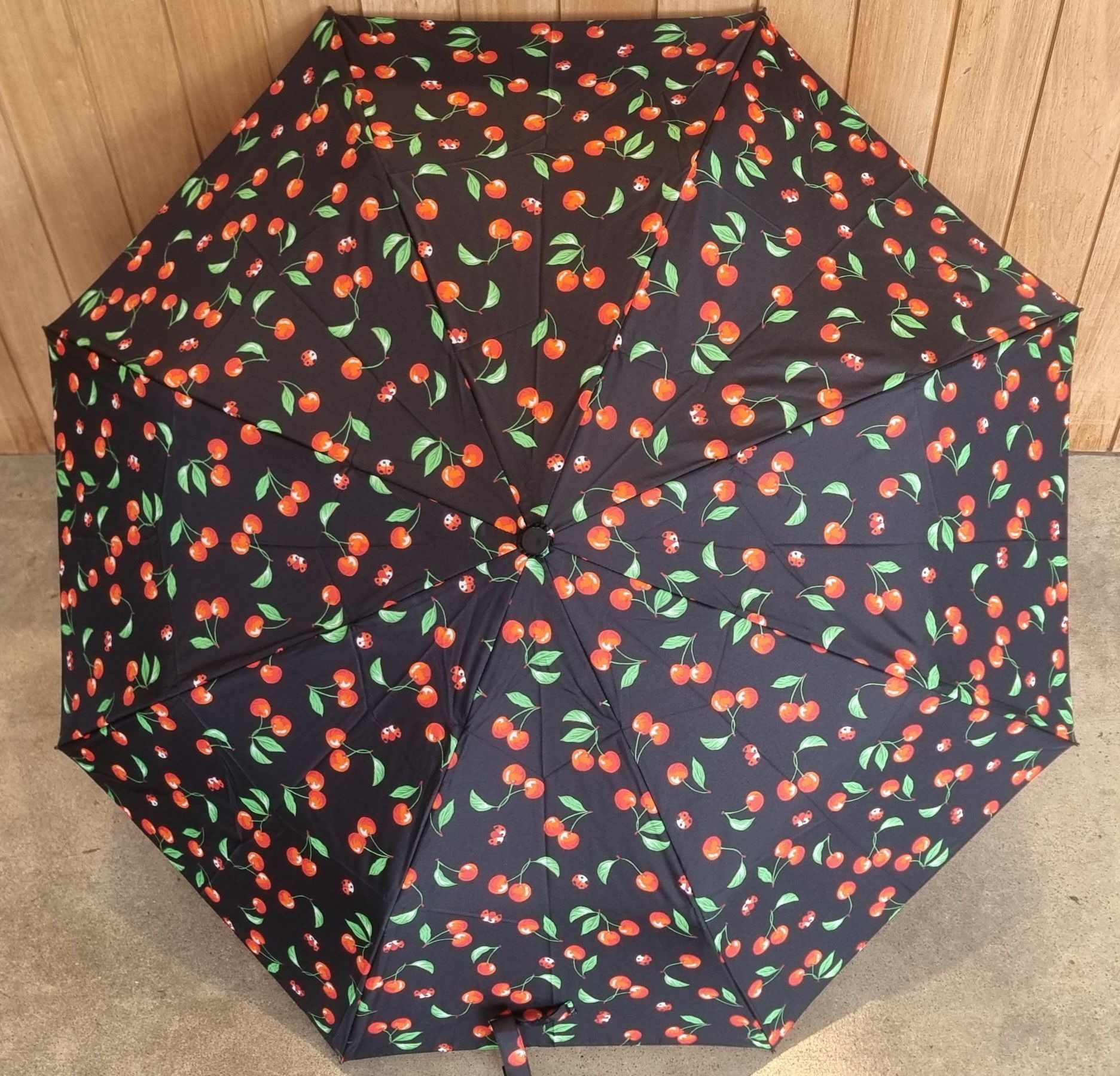 rain umbrella, rain umbrella adelaide, personal rain umbrella, Shelta rain umbrella, Shelta umbrella, Shelta rain umbrella Adelaide