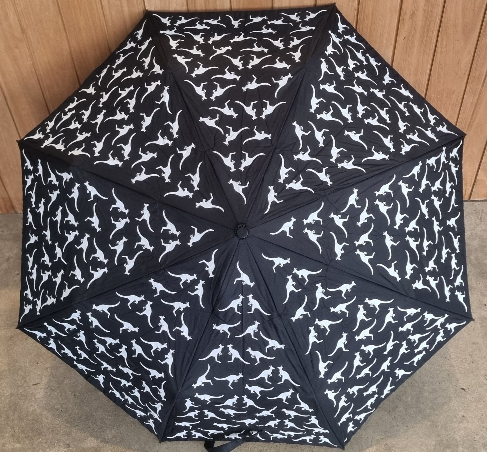 rain umbrella, rain umbrella adelaide, personal rain umbrella, Shelta rain umbrella, Shelta umbrella, Shelta rain umbrella Adelaide