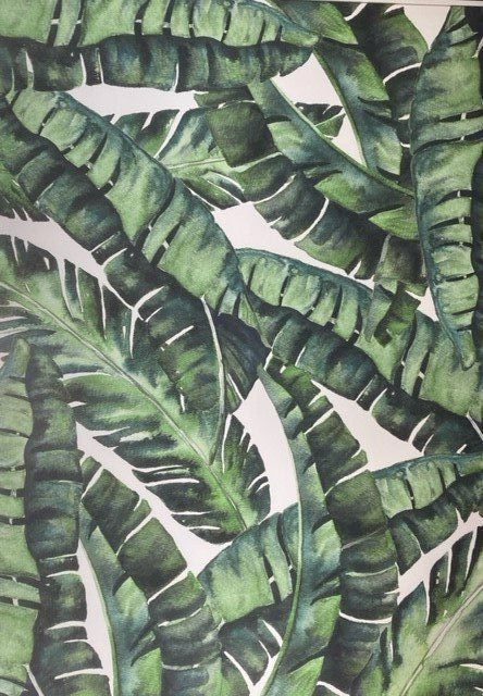 Lush Tropics Art — Somerton Park, SA — The Outdoor Scene