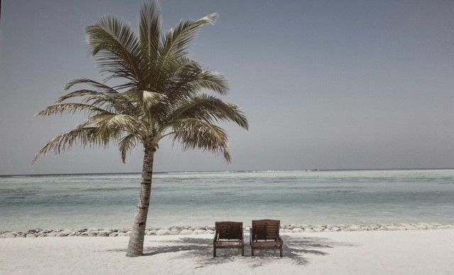 Sunlounger On Beach Art — Somerton Park, SA — The Outdoor Scene