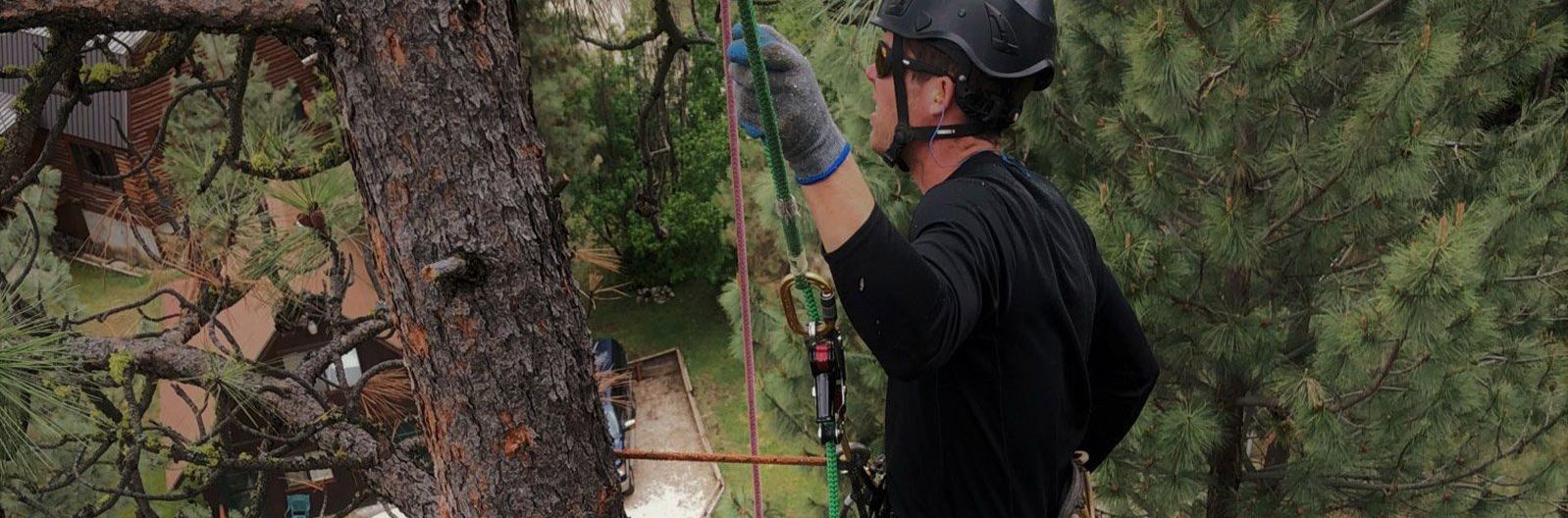 Sawtooth Tree Service gallery 6