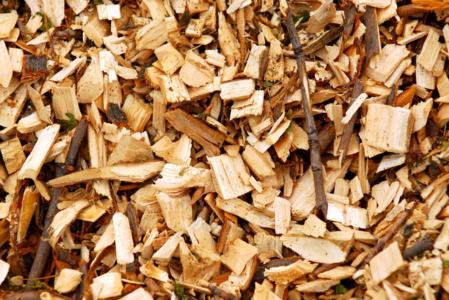 How to Use Wood Chips in Your Yard